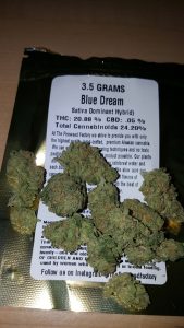 bluedream