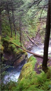 Perseverance Ebner Falls