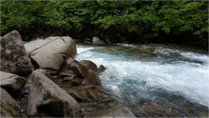 Perseverance Trail Creek