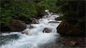 Perseverance Trail Creek