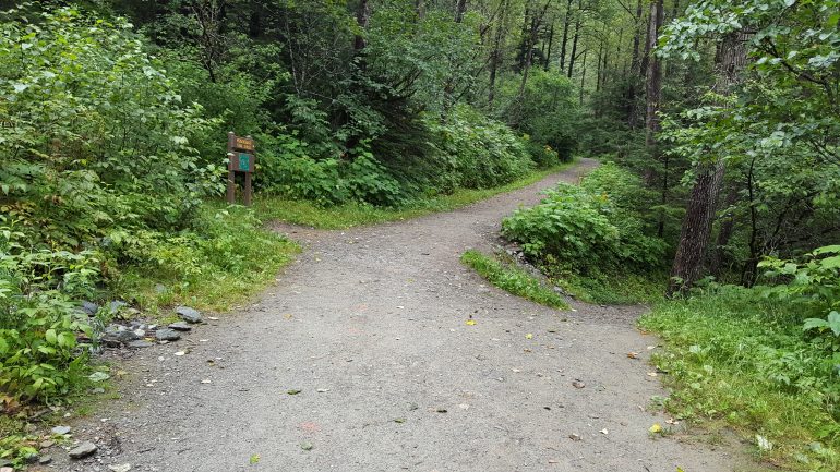 Perseverance Trail