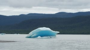 Iceberg