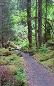 East Glacier Trail