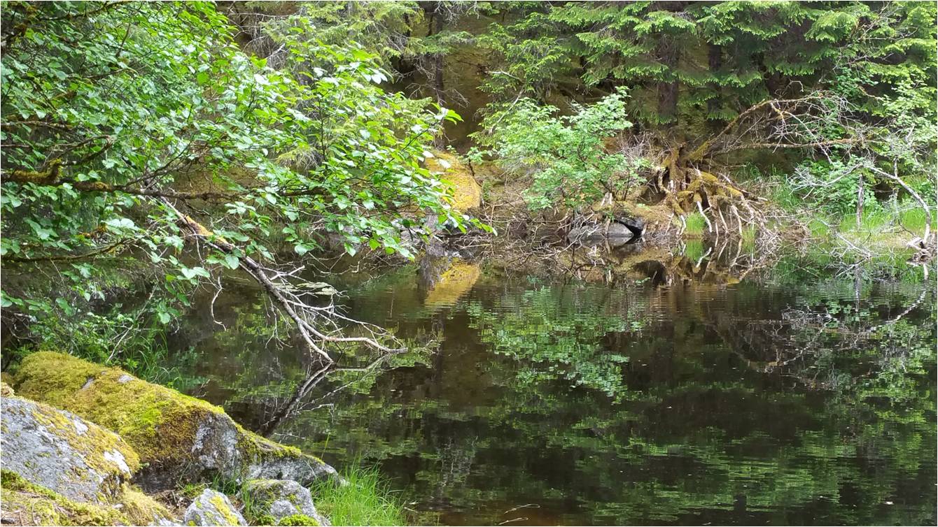 East Glacier Loop Trail