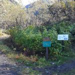 Mine Camp Ruins Trail