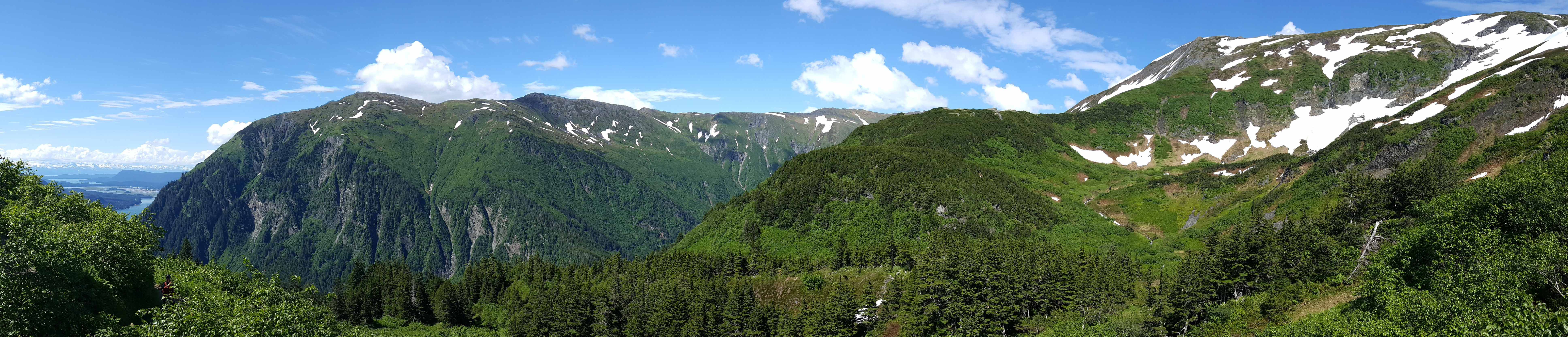 mtrobertview15